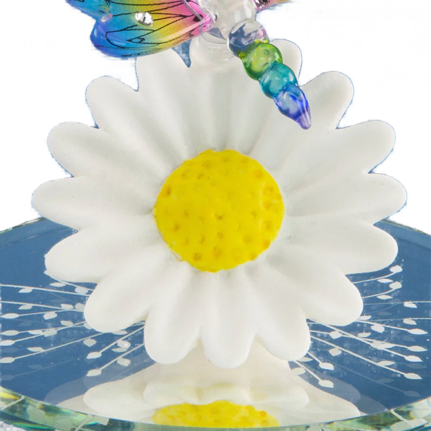 Glass Baron Daisy with Rainbow Sun dancer Dragonfly