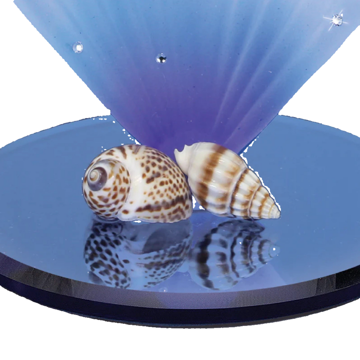 Glass Baron Sea Turtle, Blue Coral