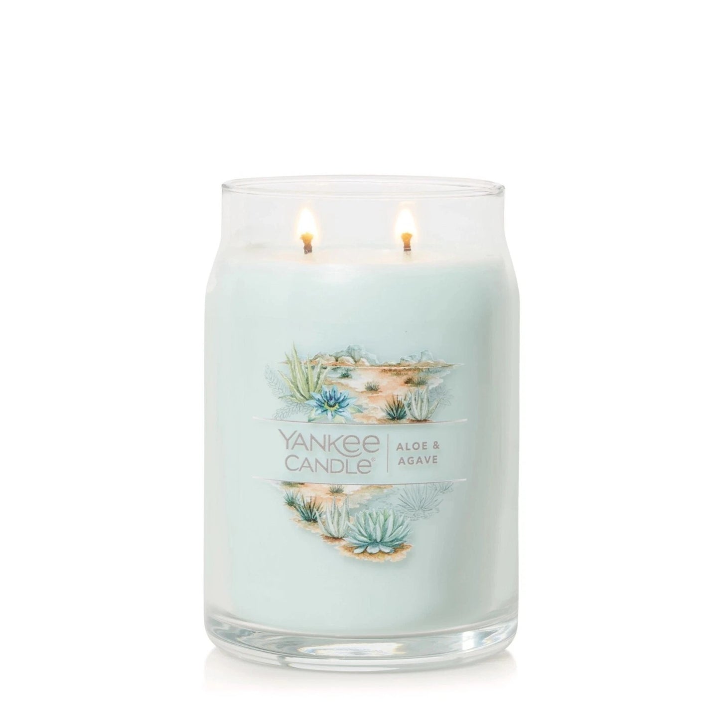 Aloe & Agave Jar Candle by Yankee Candle