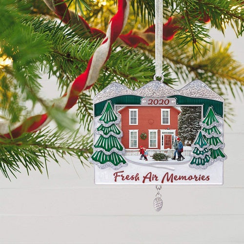 Ornament 2020 Mountainous Memories Picture Frame