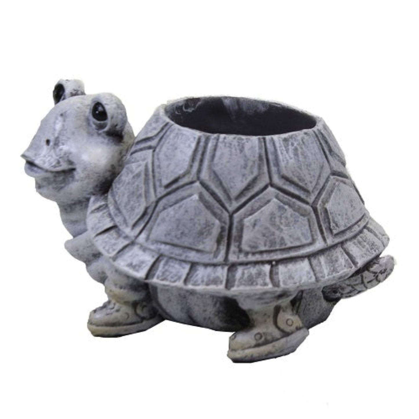 Roman Mini Turtle Pudgy Planter