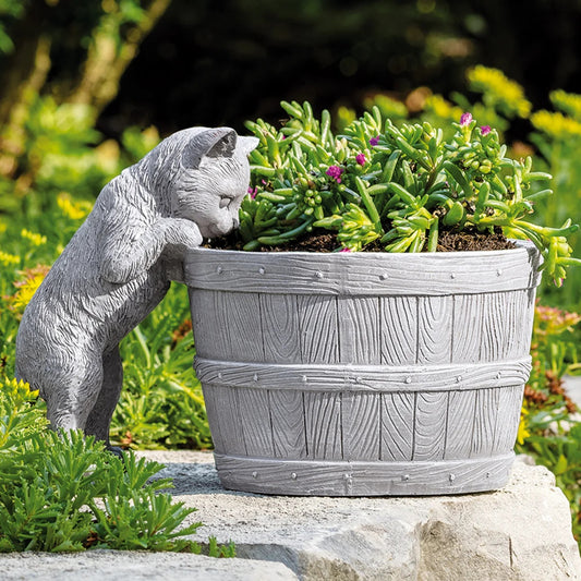 Roman Kitten Bucket Planter