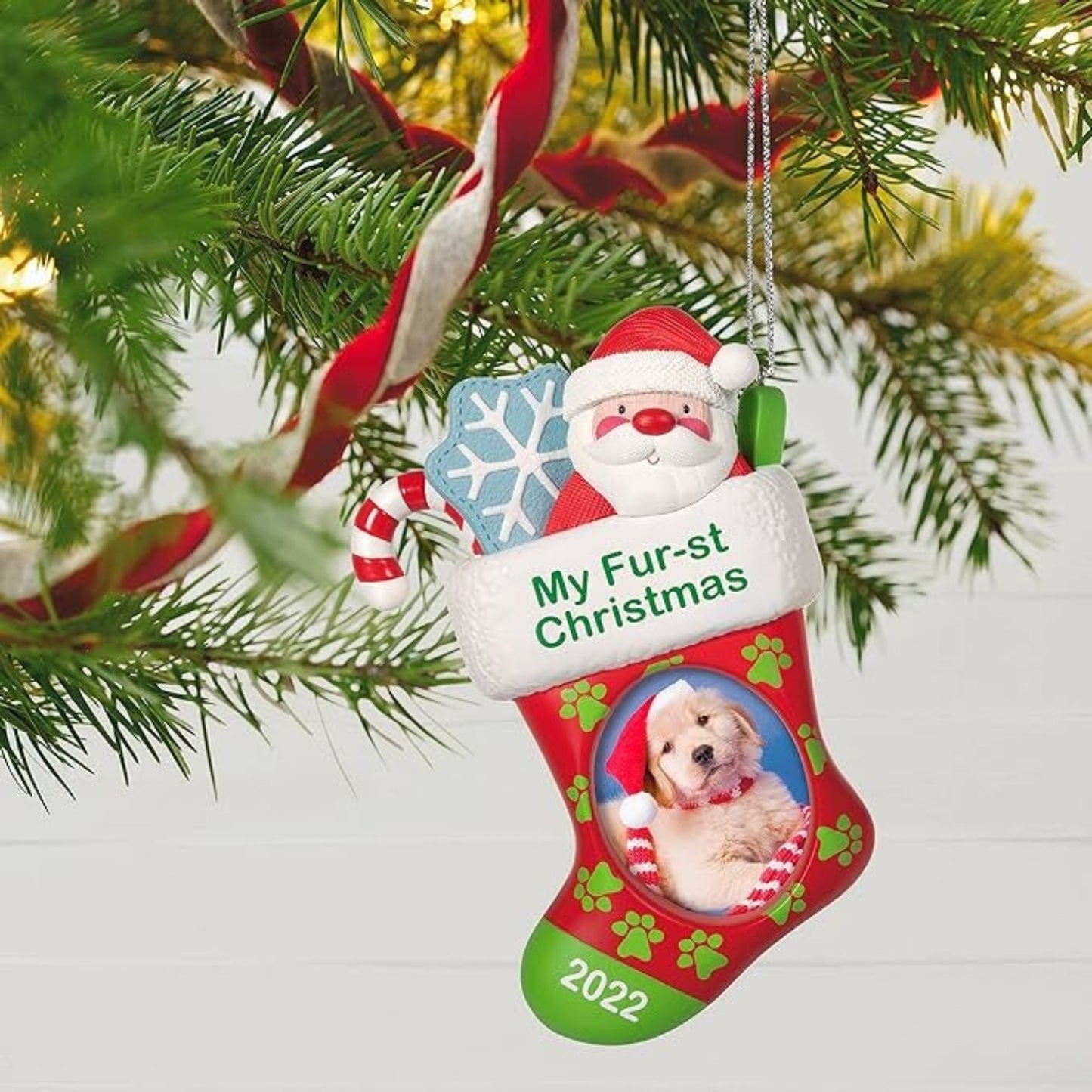 Hallmark Keepsake Ornament 2022 Pet's Fur-st Christmas Stocking Photo Frame