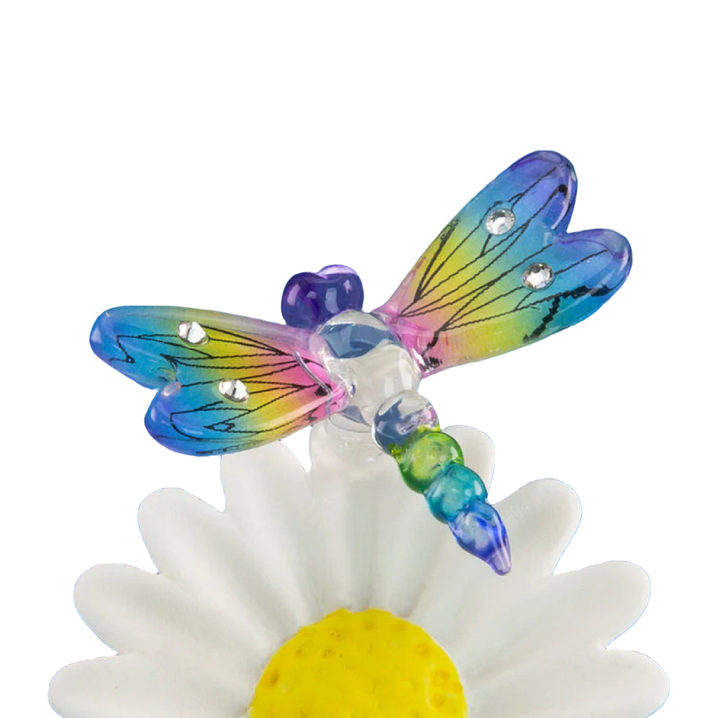 Glass Baron Daisy with Rainbow Sun dancer Dragonfly