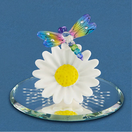 Glass Baron Daisy with Rainbow Sun dancer Dragonfly