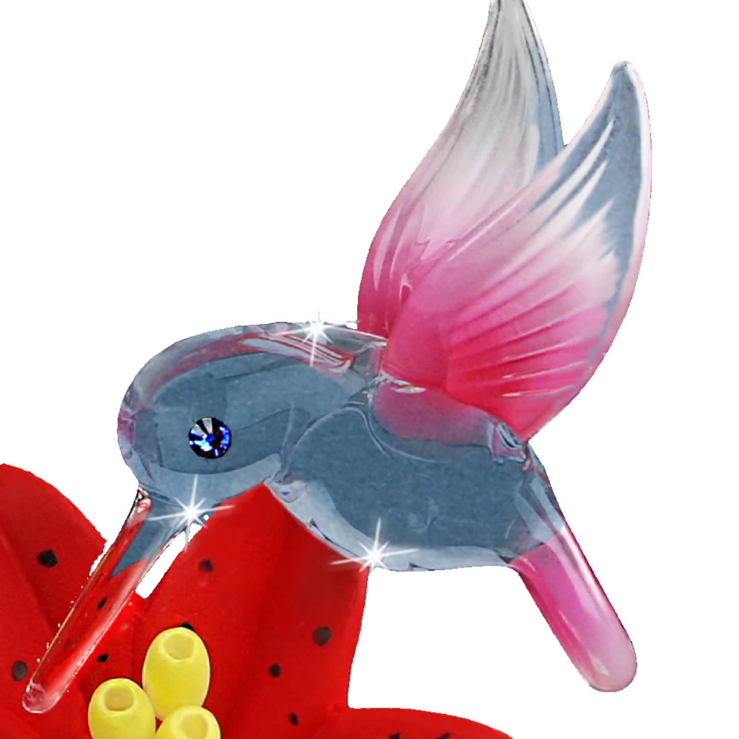 Glass Baron Hummingbird, Red