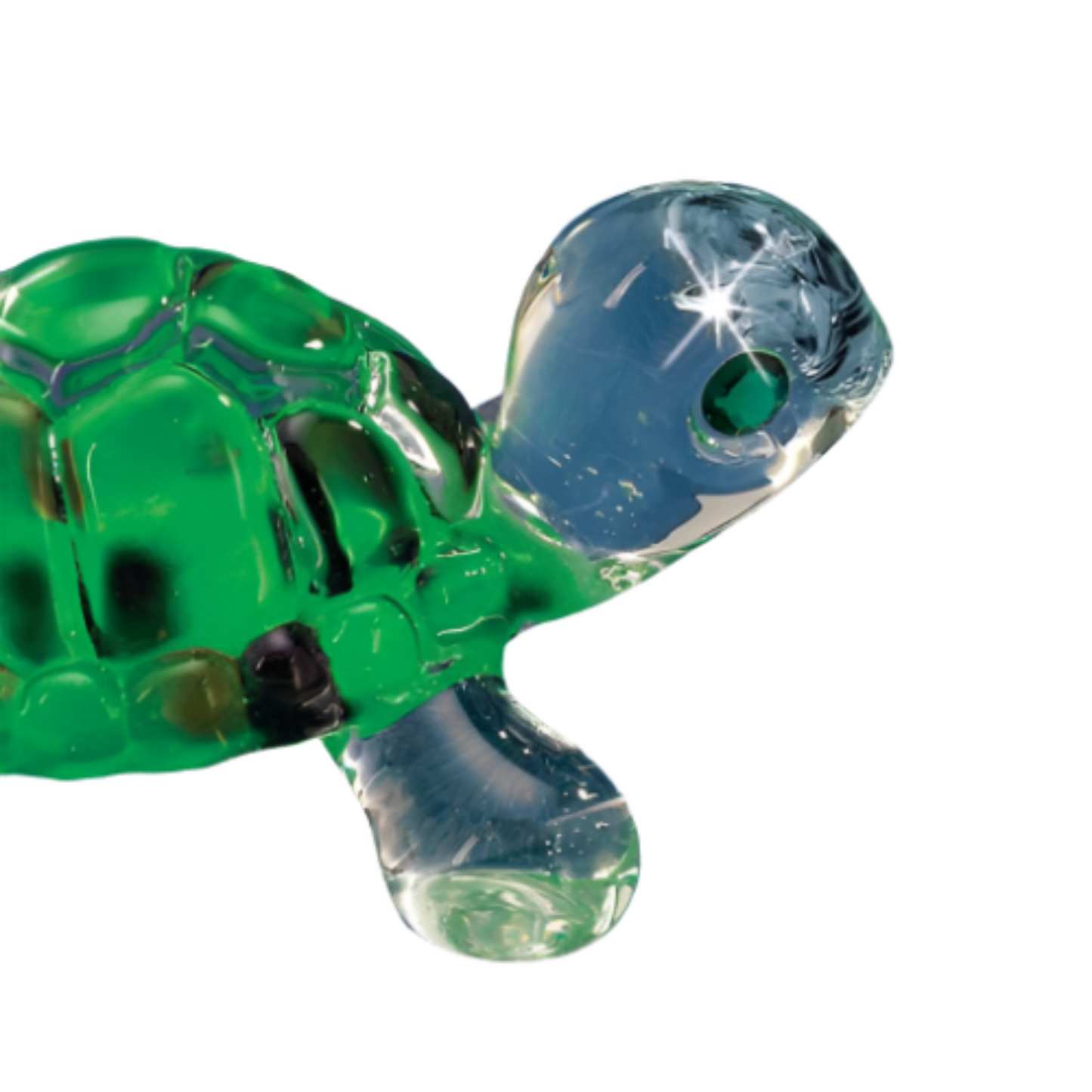 Glass Baron Turtle