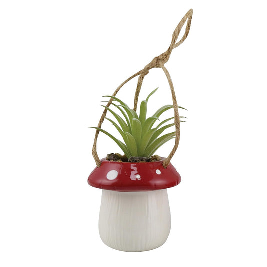 Mushroom Hangng Planter Plant
Our Name Is Mud