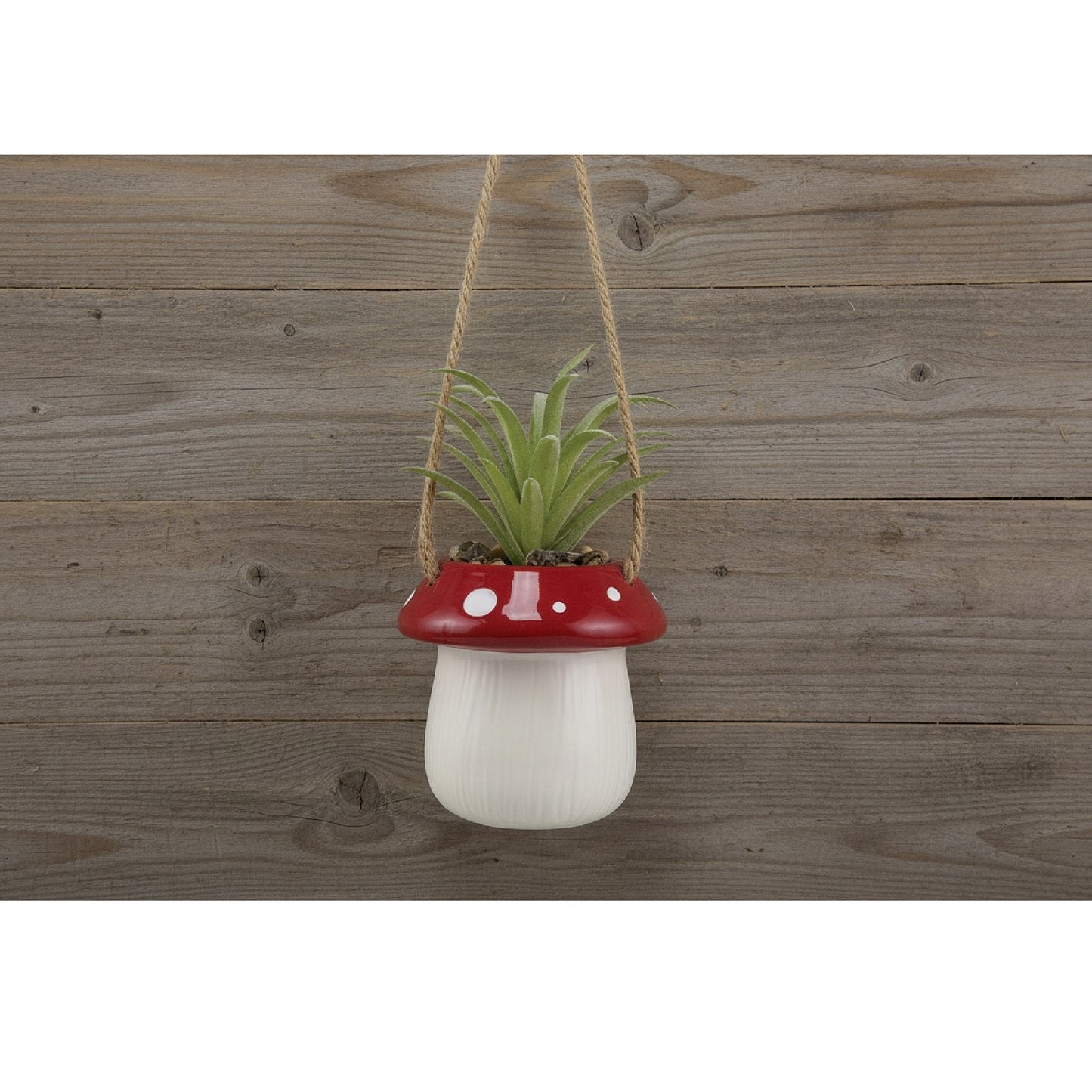 Mushroom Hangng Planter Plant
Our Name Is Mud