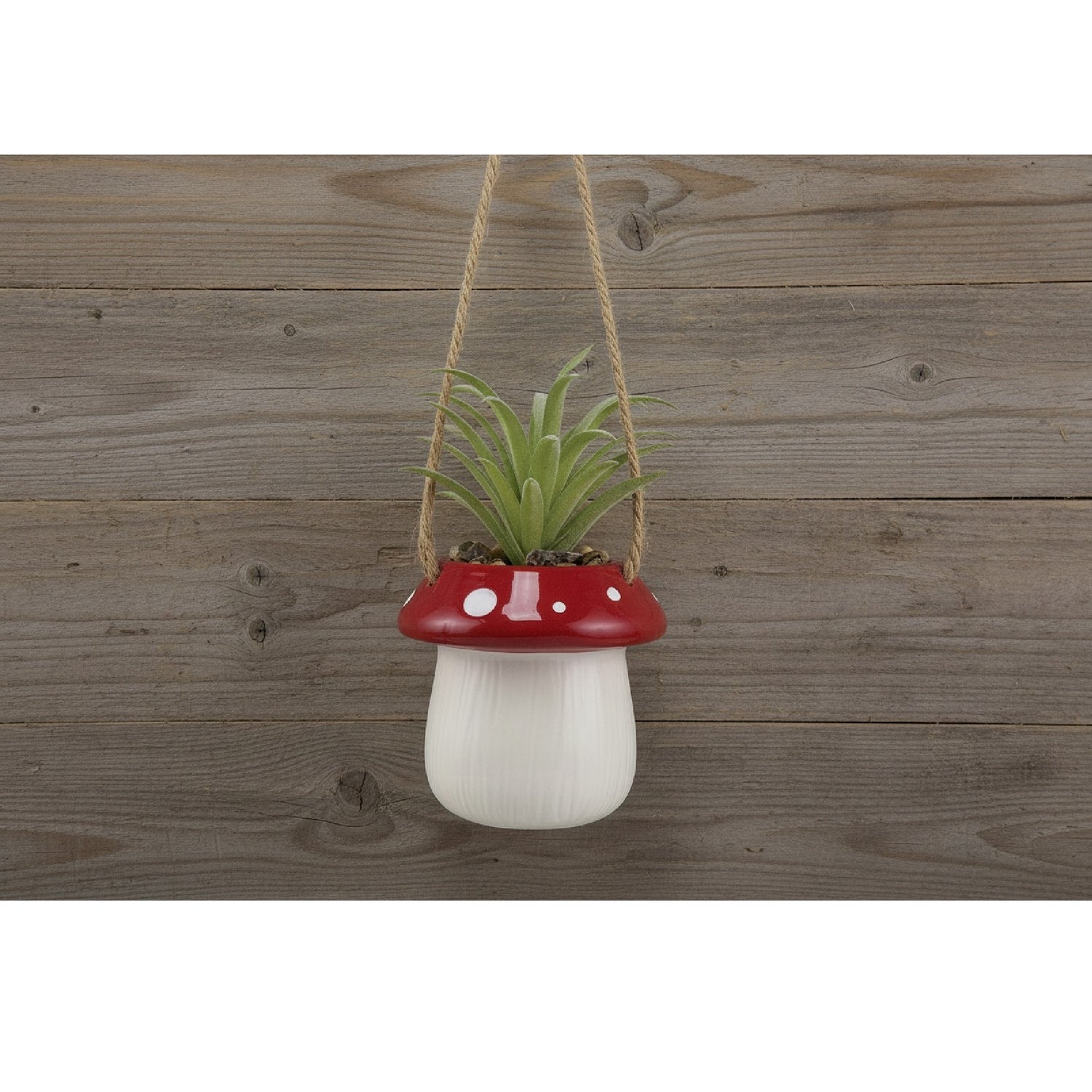 Mushroom Hangng Planter Plant
Our Name Is Mud