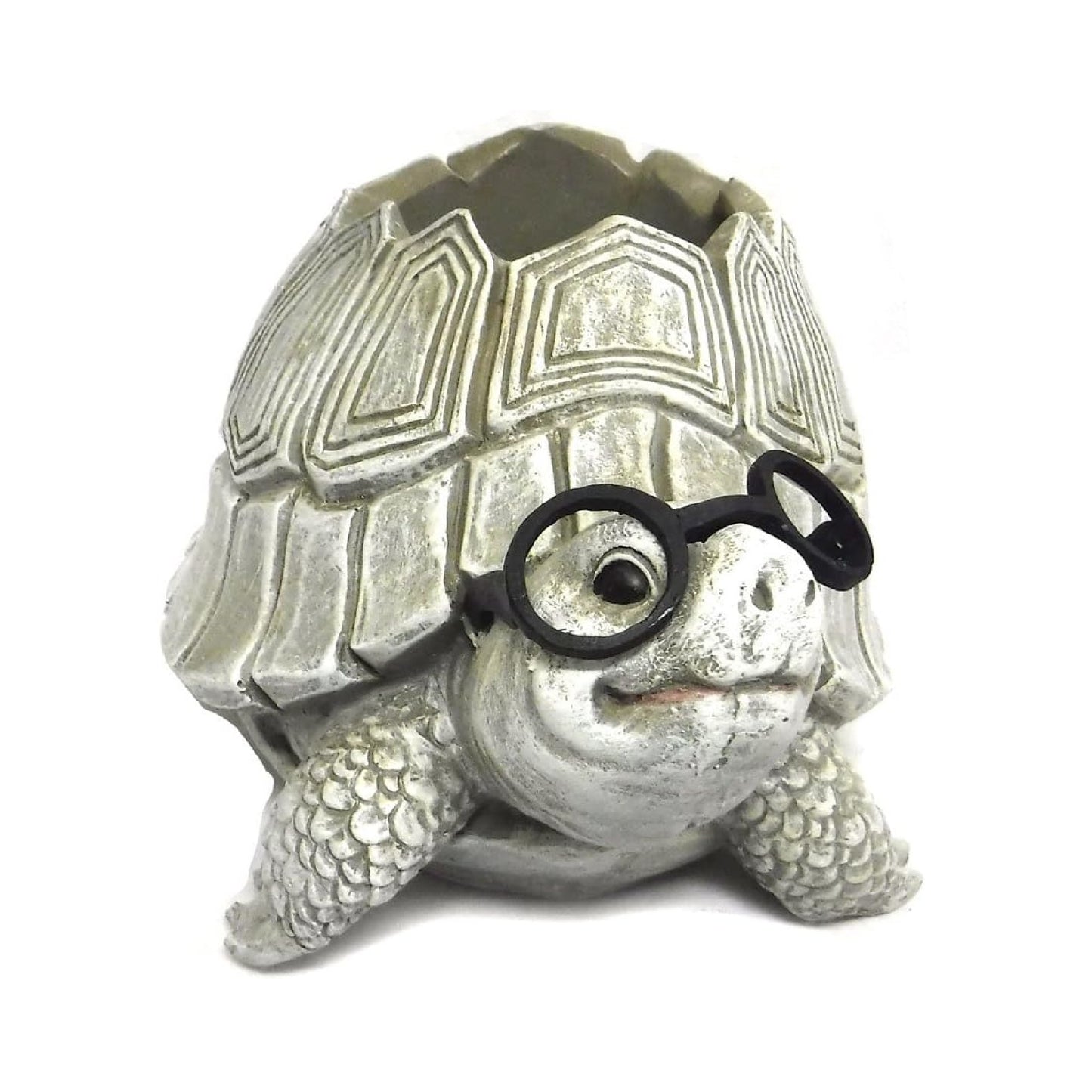 Pudgy Pals Turtle with Glasses Planter by Roman 