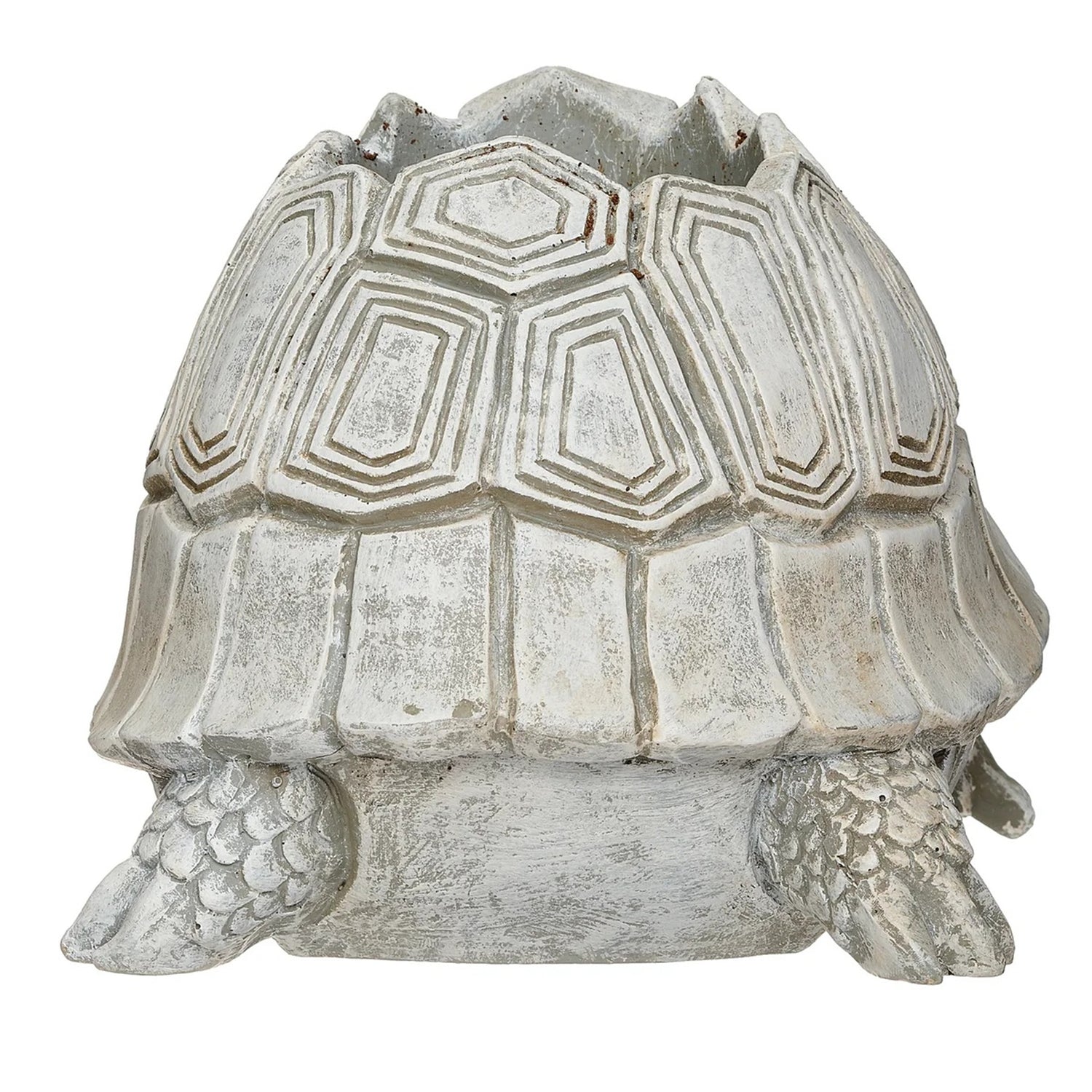 Pudgy Pals Turtle with Glasses Planter by Roman 