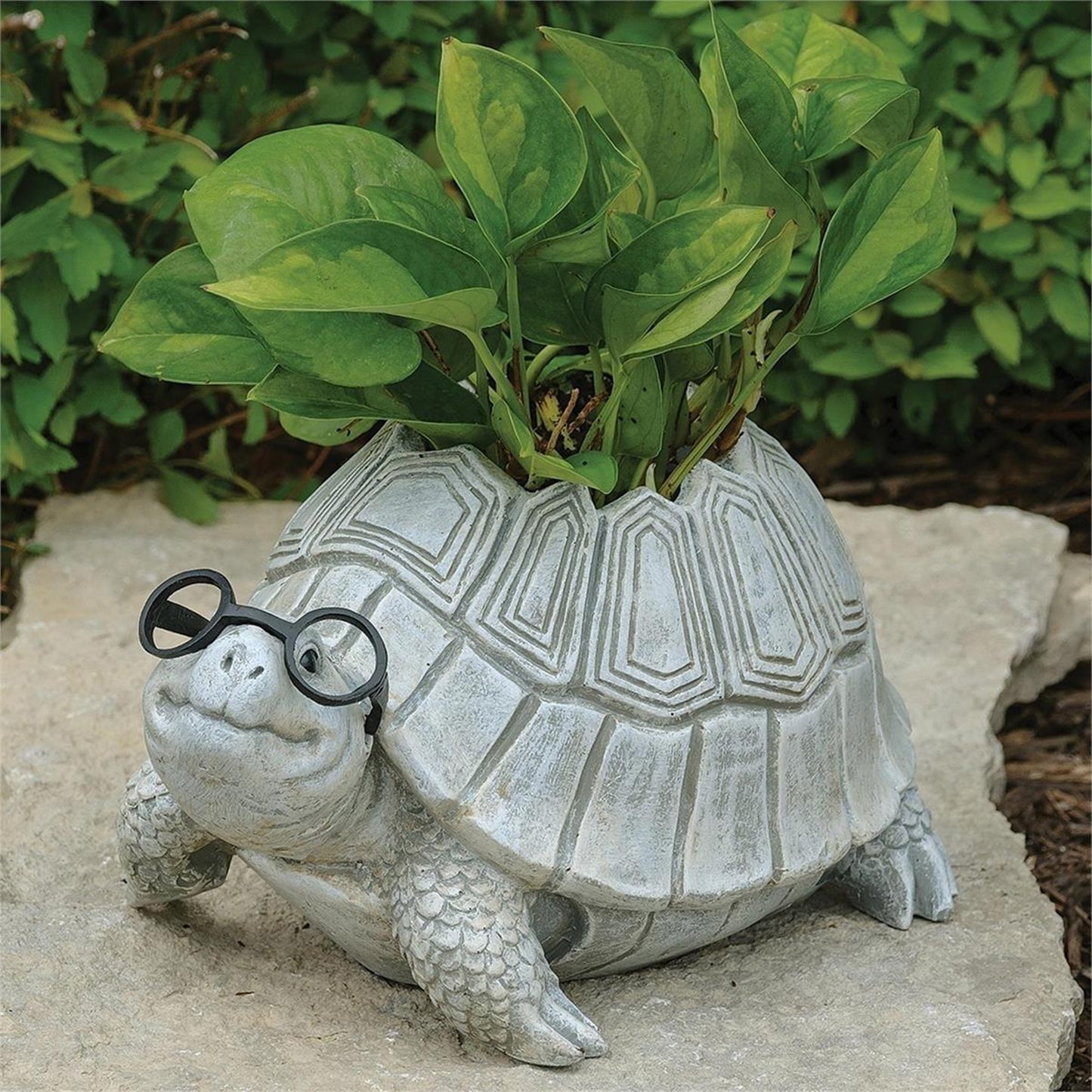 Pudgy Pals Turtle with Glasses Planter by Roman 