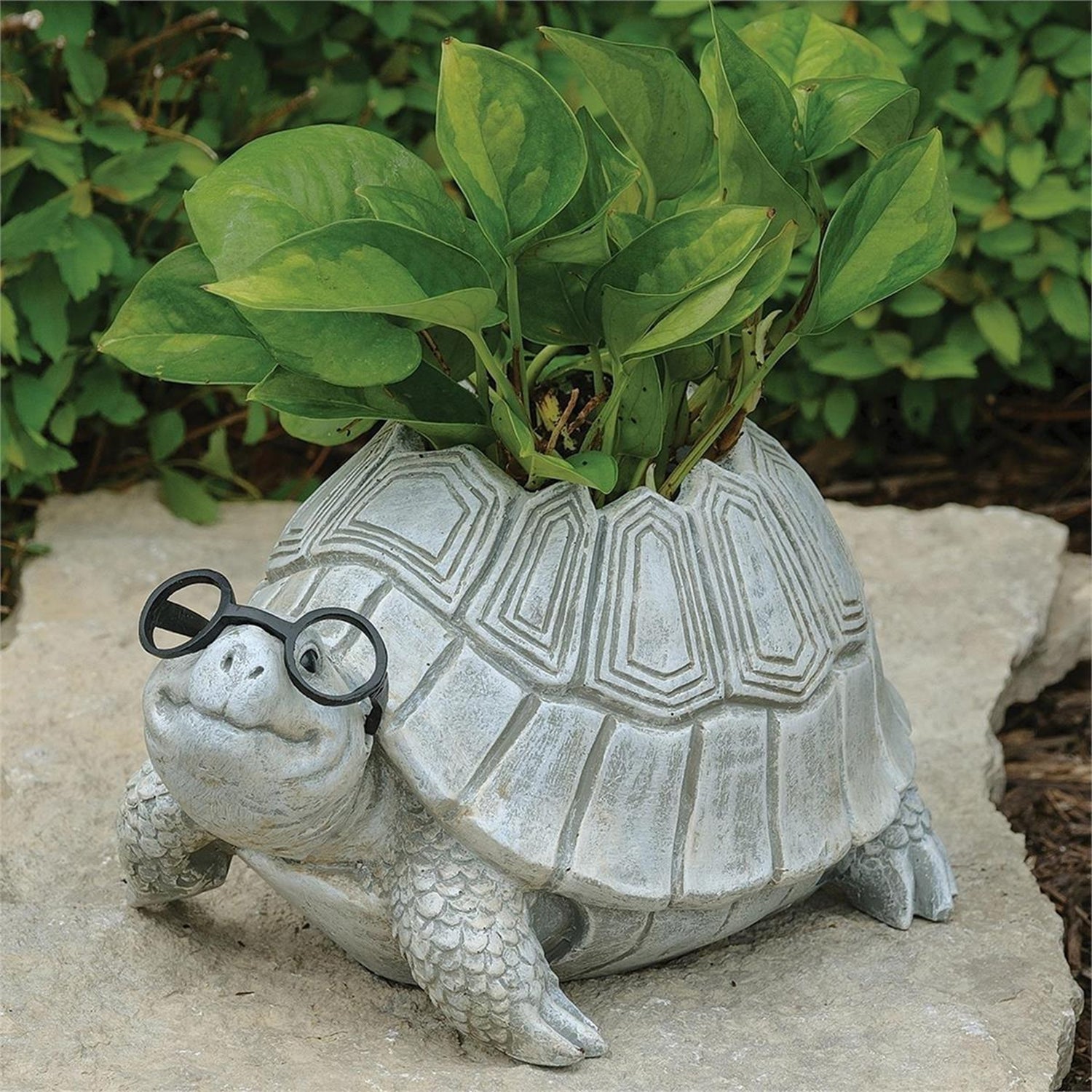 Pudgy Pals Turtle with Glasses Planter by Roman 