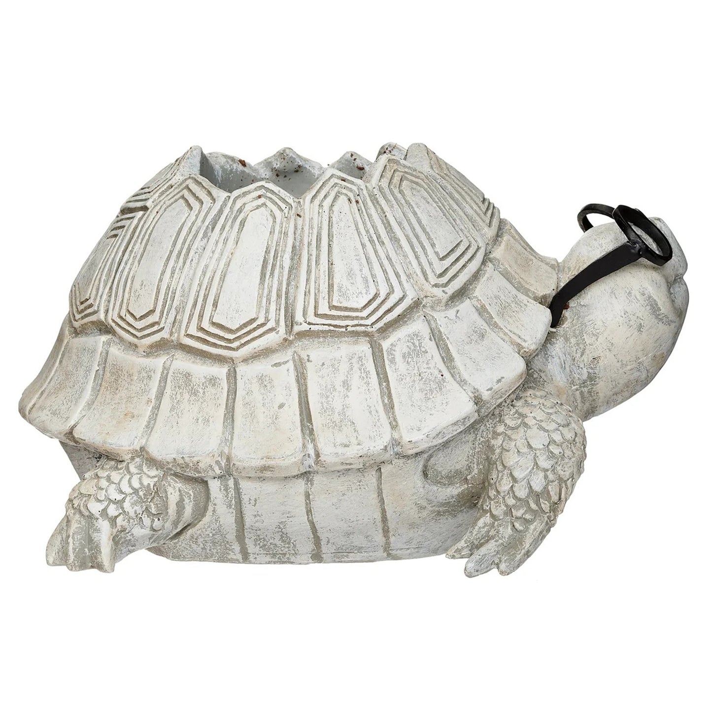 Pudgy Pals Turtle with Glasses Planter by Roman 