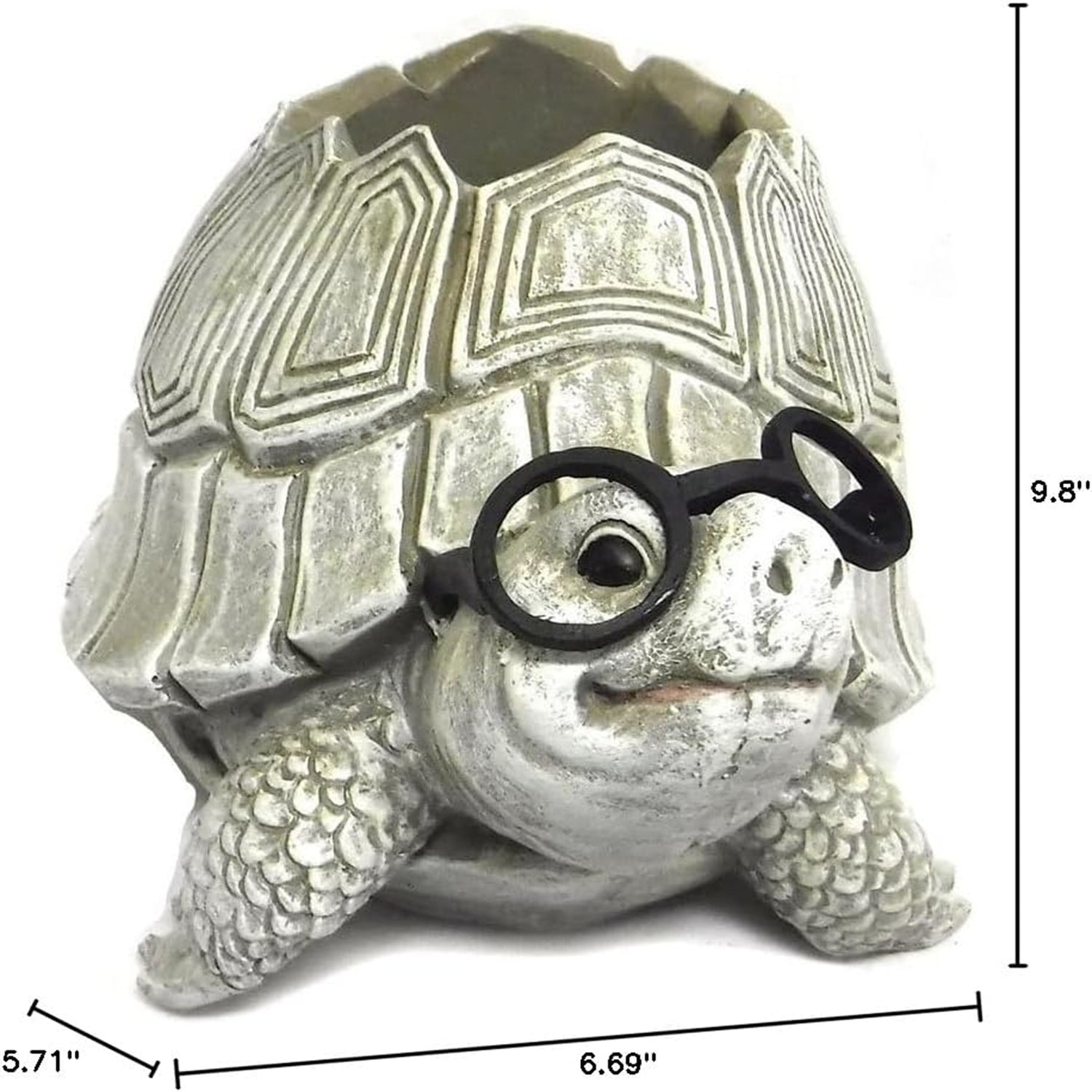 Pudgy Pals Turtle with Glasses Planter by Roman 