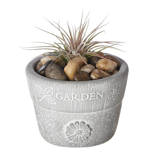 Roman 2.5"H Cement Garden Pot Giftables