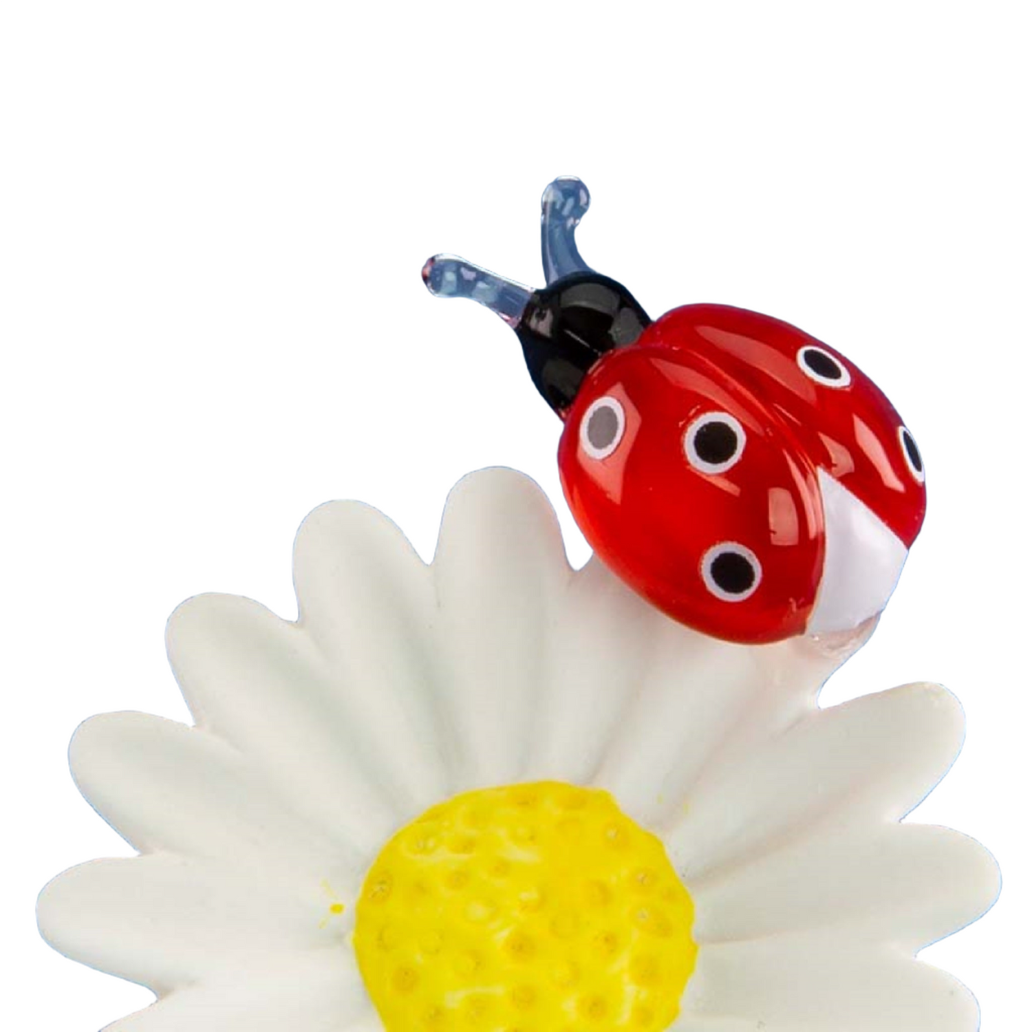 Glass Baron Daisybug