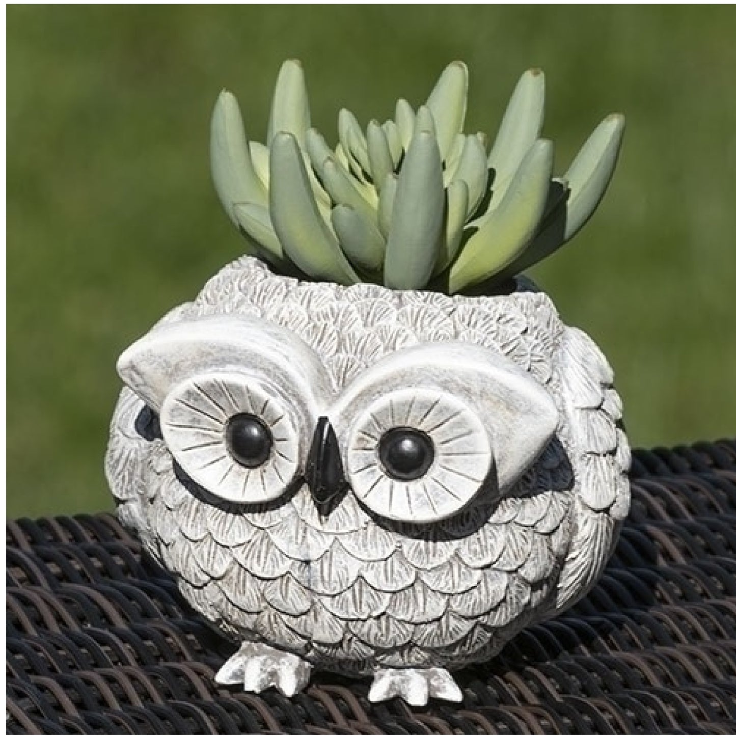 Roman Mini 3.5" Pudgy Owl Garden Planter