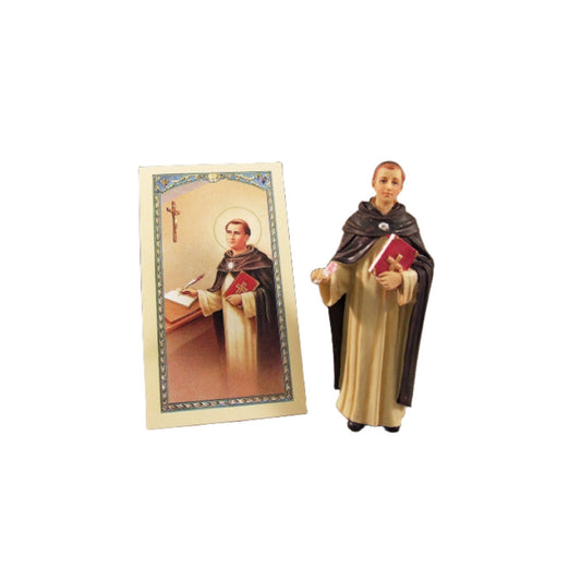 Roman St. Thomas Aquinas, Patron Saints & Protectors