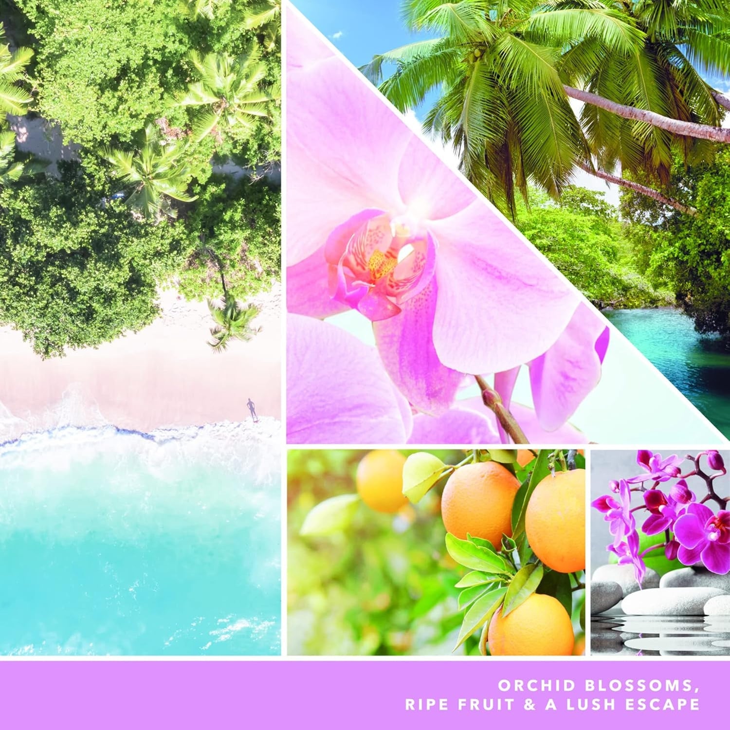 Yankee Candle Wild Orchid Scented, Signature 13oz Medium Jar 2-Wick Candle, Over 35 Hours of Burn Time