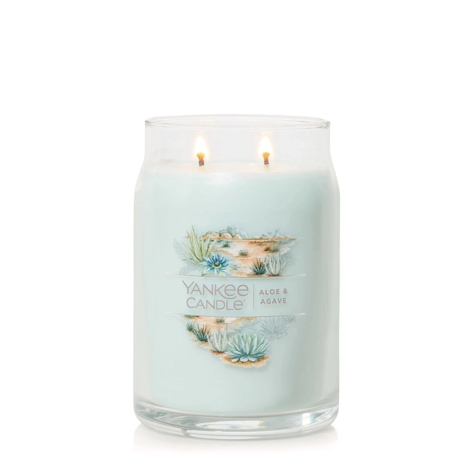 Aloe & Agave Jar Candle by Yankee Candle
