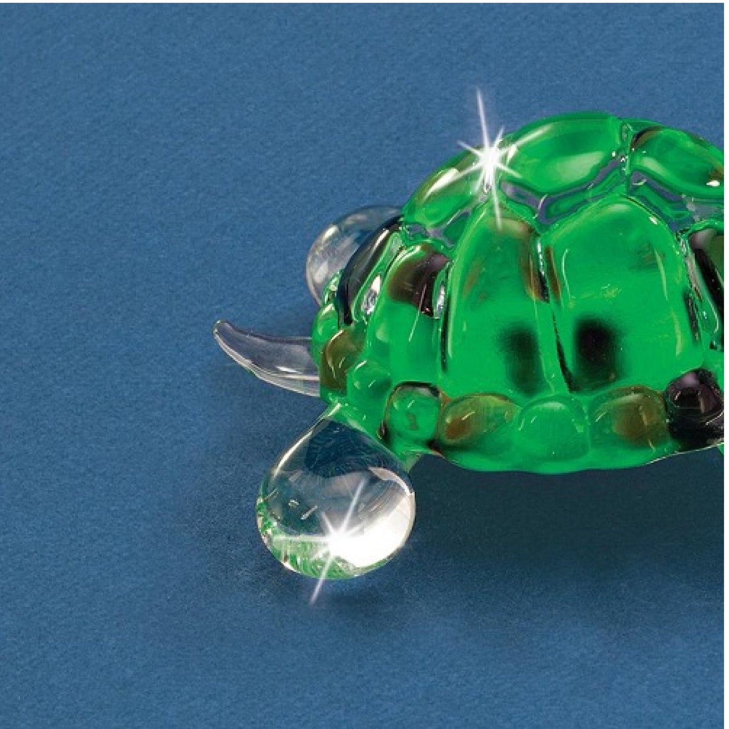 Glass Baron Turtle