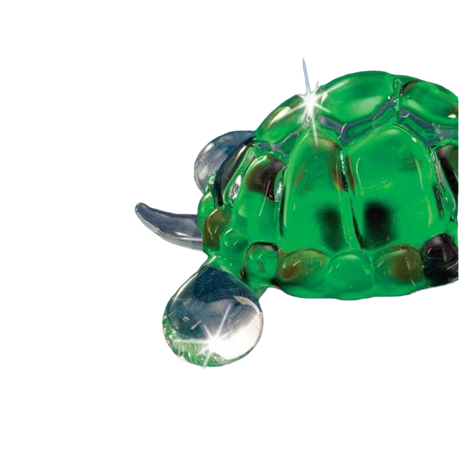 Glass Baron Turtle