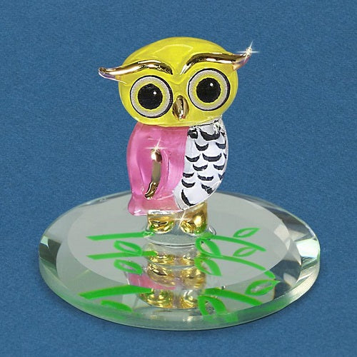 Glass Baron Owlet