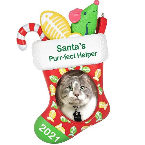 Ornement 2021, cadre photo de bas de chat Helper Purr-FECT du Père Noël 