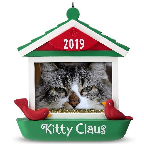 Cadre photo chat Kitty Claus dans une mangeoire à oiseaux daté de l'année 2019 