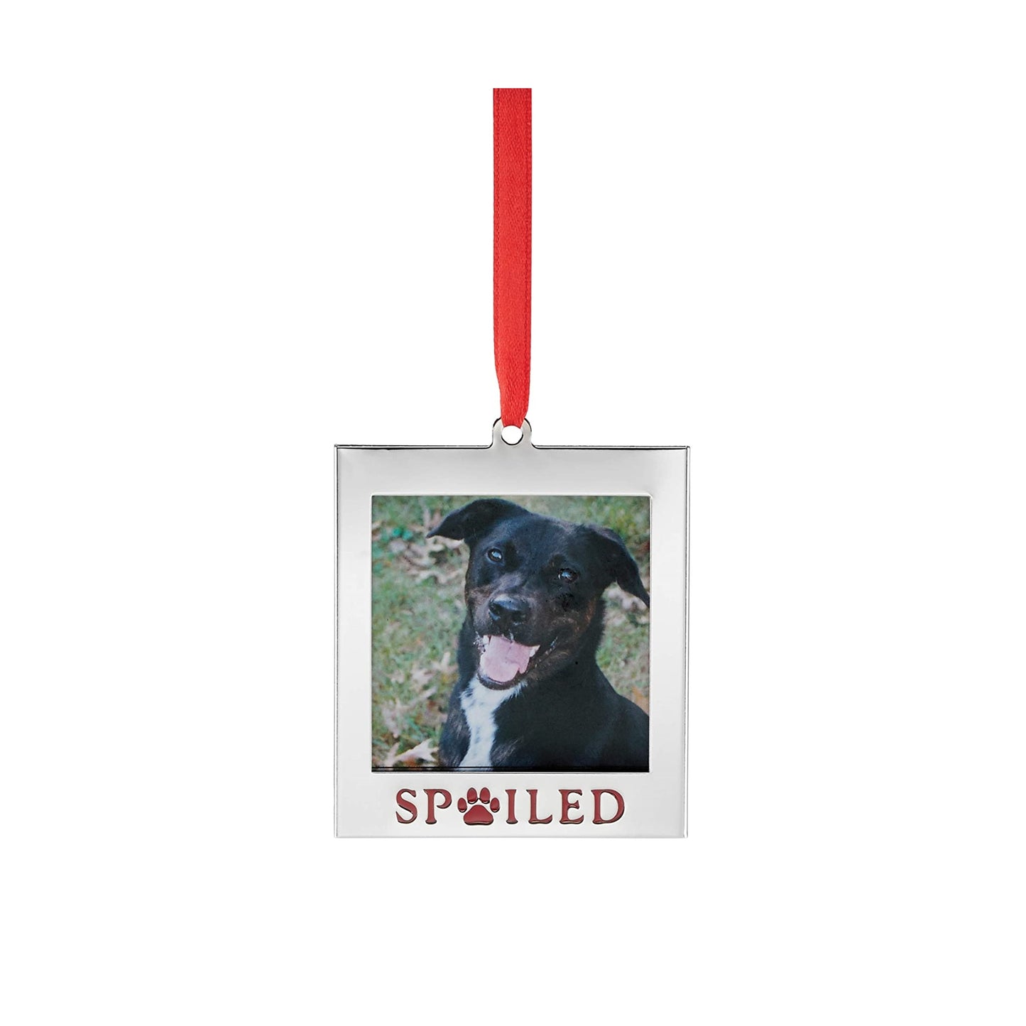 Silver Spoiled Pet Photo Frame Ornament by Lenox